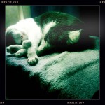 165629_490015432982_640157982_6249626_3905093_n