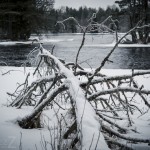 Fototräff   Gysinge 