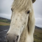 Island   Dag 2 island iceland 