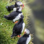 Island   Dag 2 island iceland 