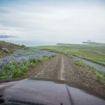 Island   Dag 5 island iceland 