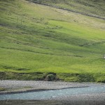 Island   Dag 7 island iceland 