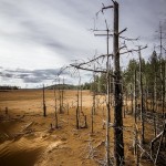 Den röda sandens dal sand röd red öde mars dött desolate dead 