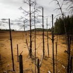 Den röda sandens dal sand röd red öde mars dött desolate dead 