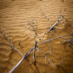 Den röda sandens dal sand röd red öde mars dött desolate dead 