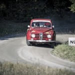 Ramirentsprinten Markim 2013 rallysprint rallyhund rally 