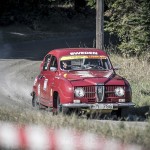 Ramirentsprinten Markim 2013 rallysprint rallyhund rally 