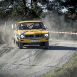 Ramirentsprinten Markim 2013 rallysprint rallyhund rally 