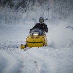 Ute i snön snöar snö skoter skogen 