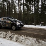 Svenska Rallyt   Vargåsen wrc vargåsen svenskarallyt svenska rallyt rally 