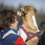 Aprilsprinten Eskilstuna 2014 rallyhund eskilstuna aprilsprinten. rally 