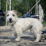 Bessemerträffen Hofors 2014 skogen offroad lera hofors bessemerträffen 