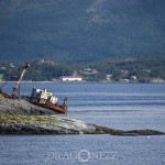 Semester   Norge Vika Feriesenter Vandring Trollstigen Røros Oppdal norway norge Myskoxsafari Muskossafari Magiskt Kongsvold Karlvika IMI Stølen Hjerkinn Geiranger fjorden Geiranger Fosnavåg Elmirs Pizza Place Dovrefjell Dovrefjäll Dalsnibba berg 