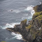 Semester   Norge Vika Feriesenter Vandring Trollstigen Røros Oppdal norway norge Myskoxsafari Muskossafari Magiskt Kongsvold Karlvika IMI Stølen Hjerkinn Geiranger fjorden Geiranger Fosnavåg Elmirs Pizza Place Dovrefjell Dovrefjäll Dalsnibba berg 