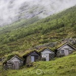 Semester   Norge Vika Feriesenter Vandring Trollstigen Røros Oppdal norway norge Myskoxsafari Muskossafari Magiskt Kongsvold Karlvika IMI Stølen Hjerkinn Geiranger fjorden Geiranger Fosnavåg Elmirs Pizza Place Dovrefjell Dovrefjäll Dalsnibba berg 