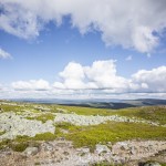 Semester   På vägen mot Norge renar ren nipfjäll idre berg 