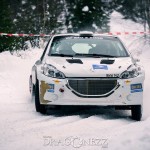 Rally SM Vinterpokalen Sandviken 2015 vinterpokalen sm sandviken rallysm rally sm rally pontus tidemand jerker axelsson 