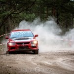 Rally Gotland 2015   Fredag tokfort tofta ss1 sladd skogen rallygotland 2015 rallygotland rally gute gotland bresladd 