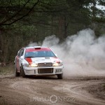 Rally Gotland 2015   Fredag tokfort tofta ss1 sladd skogen rallygotland 2015 rallygotland rally gute gotland bresladd 