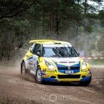 Rally Gotland 2015   Fredag tokfort tofta ss1 sladd skogen rallygotland 2015 rallygotland rally gute gotland bresladd 