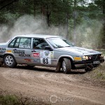 Rally Gotland 2015   Fredag tokfort tofta ss1 sladd skogen rallygotland 2015 rallygotland rally gute gotland bresladd 