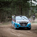 Rally Gotland 2015   Fredag tokfort tofta ss1 sladd skogen rallygotland 2015 rallygotland rally gute gotland bresladd 