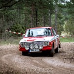 Rally Gotland 2015   Fredag tokfort tofta ss1 sladd skogen rallygotland 2015 rallygotland rally gute gotland bresladd 