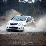 Rally Gotland 2015   Lördag tokfort tofta ss1 sladd skogen rallygotland 2015 rallygotland rally gute gotland bresladd 