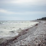 Gotland visby toyotafjcruiser toyotafj toyota tofta strykjärnet stad småhus ringmuren port pitoreskt lantligt körsbärsblomster kärlek hund havet gränder gotland får dörr 