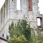 Gotland visby toyotafjcruiser toyotafj toyota tofta strykjärnet stad småhus ringmuren port pitoreskt lantligt körsbärsblomster kärlek hund havet gränder gotland får dörr 