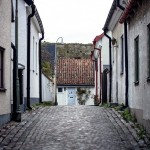 Gotland visby toyotafjcruiser toyotafj toyota tofta strykjärnet stad småhus ringmuren port pitoreskt lantligt körsbärsblomster kärlek hund havet gränder gotland får dörr 