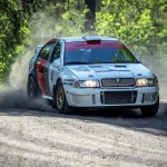 Björn Waldegårds minne 2015 skogsrally rimbo rally grussput grusrally brett bresladd bredsladd björnwaldegårdsminne Björn Waldegårds Minne Björn Waldegård 