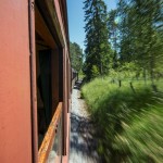 En tur med Lennakatten train tåg steamtrain steam railroad museiejärnväg lok lennakatten järnväg ångtåg ånglok 