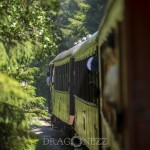 En tur med Lennakatten train tåg steamtrain steam railroad museiejärnväg lok lennakatten järnväg ångtåg ånglok 