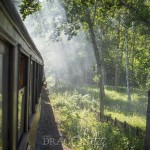 En tur med Lennakatten train tåg steamtrain steam railroad museiejärnväg lok lennakatten järnväg ångtåg ånglok 