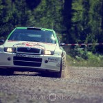 Slottssprinten 2015 ss4 ss2 slottssprinten rallysprint rally katrineholm grussprut eriksbergs slott ericsbergsslott bresställ bresladd 