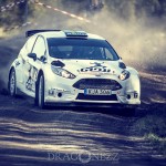 EMK Kannan 2015 rally eskilstuna emkkannan emk kannan emk 