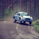 WRC Rally Finland 2015 – SS3 & SS7 Päijälä, SS9 Himos wrc rally finland wrc rally wrc rally finland rally Päijälä Himos finland 2015 