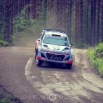 WRC Rally Finland 2015 – SS3 & SS7 Päijälä, SS9 Himos wrc rally finland wrc rally wrc rally finland rally Päijälä Himos finland 2015 