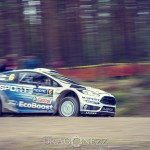 WRC Rally Finland 2015 – SS3 & SS7 Päijälä, SS9 Himos wrc rally finland wrc rally wrc rally finland rally Päijälä Himos finland 2015 