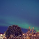 Norrsken Uppsala northern lights norrsken Magiskt ljusfenomen himmel grönt ljus 