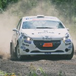 Slottssprinten 2016 slottssprinten sladd rally katrineholm grussprut eriksbergs slott dammigt damm bredsladd 