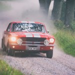 Slottssprinten 2016 slottssprinten sladd rally katrineholm grussprut eriksbergs slott dammigt damm bredsladd 