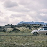 Island 2016   Dag 5 waterfall vattenfall väg snow snö sheep mountain Jökulsárlón island is iceland icelagoon ice fjäll fell får berg asfalt 