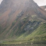 Island 2016   Dag 5 waterfall vattenfall väg snow snö sheep mountain Jökulsárlón island is iceland icelagoon ice fjäll fell får berg asfalt 