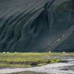 Island 2016   Dag 5 waterfall vattenfall väg snow snö sheep mountain Jökulsárlón island is iceland icelagoon ice fjäll fell får berg asfalt 