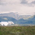 Island 2016   Dag 6 waterfall vattenfall väg snow snö sheep ravin puffin mountain lunne Kirkjubæjarklaustur island iceland fjäll fell får berg beach asfalt 