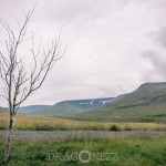 Island 2016   Dag 1 waterfall vattenfall väg ödehus Kirkjufell islandshäst island iceland häst bro asfalt 