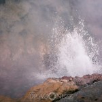 Island 2016   Dag 4 waterfall vattenfall väg snow snö sheep mountain islandshäst island iceland hund häst geysir fjäll får bro berg asfalt 