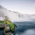 Island 2016   Dag 4 waterfall vattenfall väg snow snö sheep mountain islandshäst island iceland hund häst geysir fjäll får bro berg asfalt 